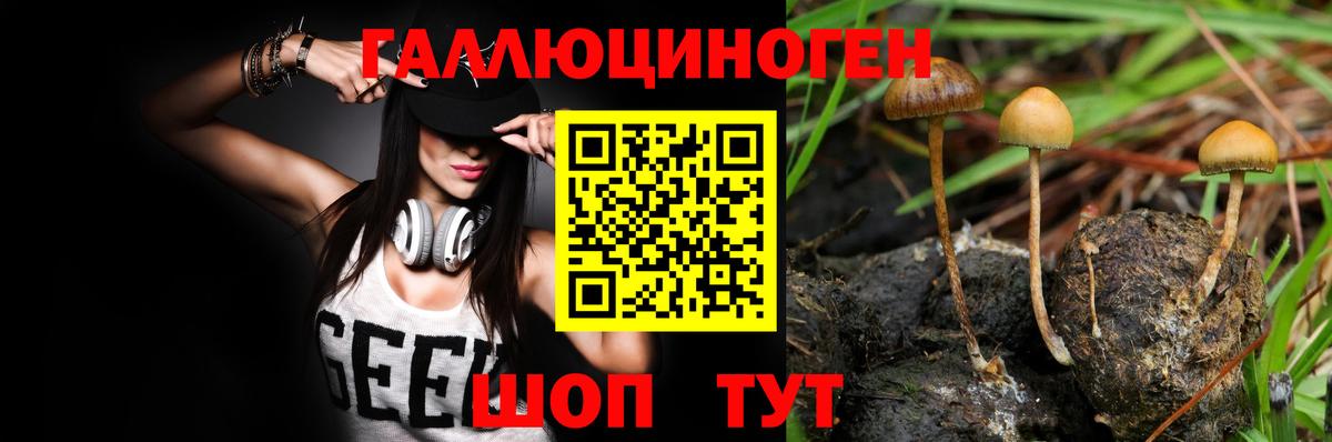 Псилоцибиновые грибы ЛСД  Вход с VPN  наркошоп  Псилоцибиновые грибы Psilocybe  Владимир 